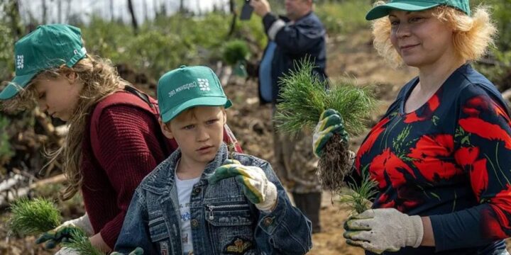 акция «Сохраним лес» стартовала в обновленном формате