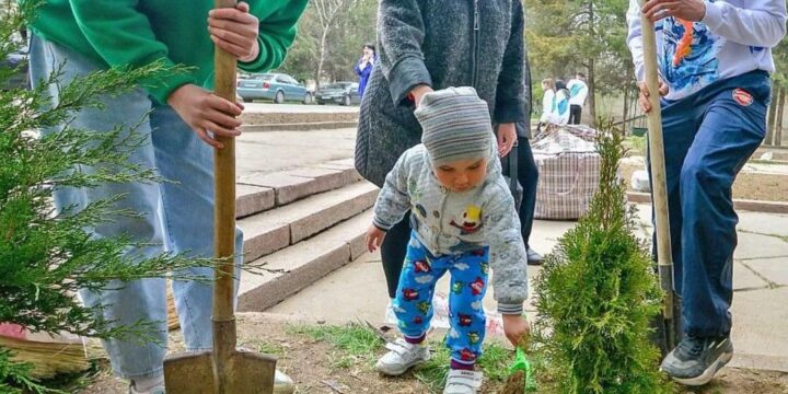 все регионы России присоединятся к акции «Сад памяти»