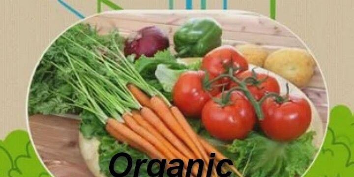как выбрать органические продукты в обычном супермаркете