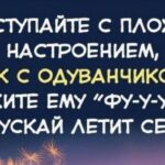Очень полезные советы для жизни — не правила. Это то, что помогло мне выжить, чтобы я рассказал вам…