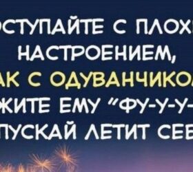 очень полезные советы для жизни